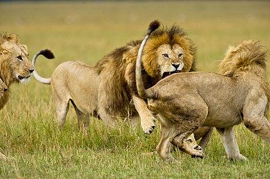 《拆建公司3》上架Steam支持中文 真实物理破坏引擎