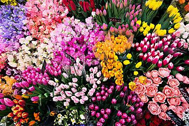 强迫症解密游戏《Balance 100》Steam页面上线 支持中文